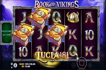 Book of Vikings