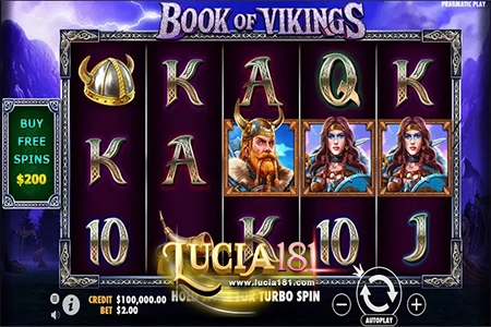 Book of Vikings